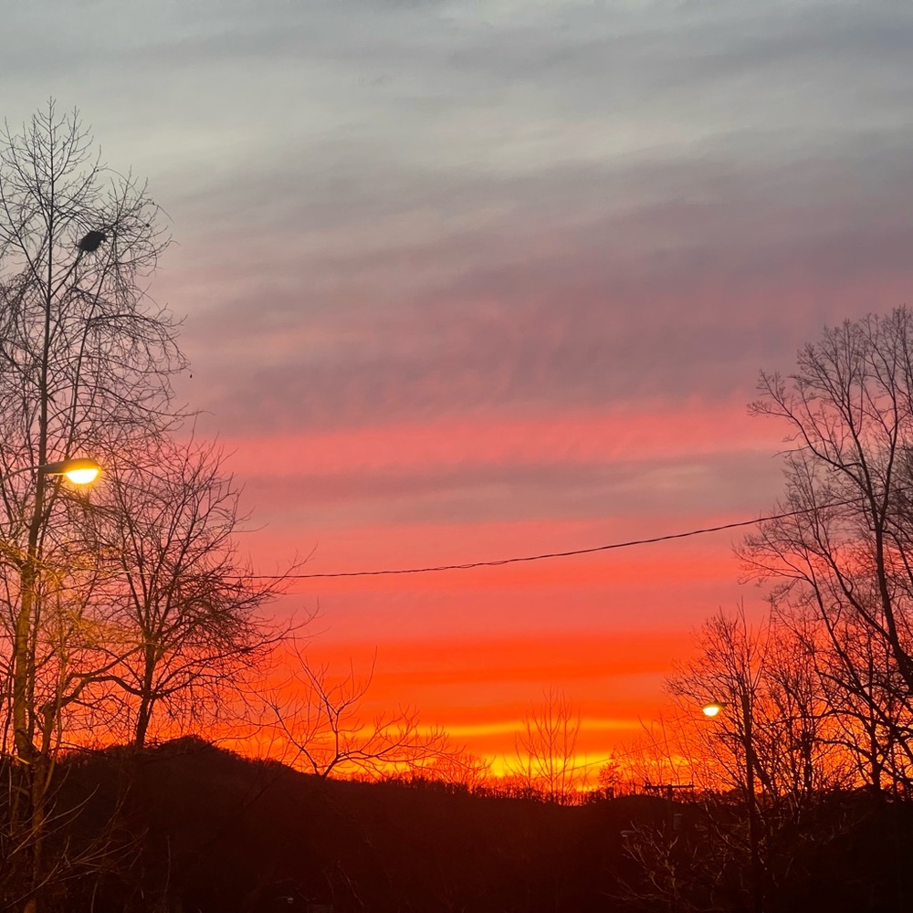 Meet your Posher, Aileen